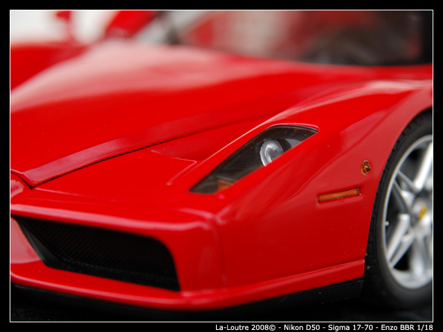 enzo2.jpg