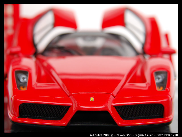 enzo3.jpg